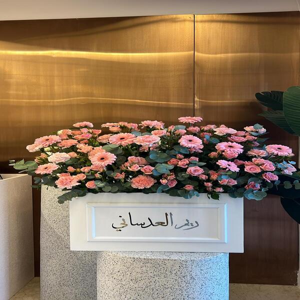 e3ea9562_WhatsApp Image 2026-02-19 at 3.27.35 PM (1).jpeg